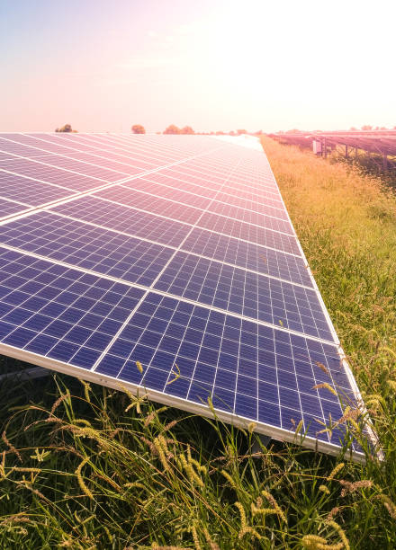 Linksolar Monocrystalline Half-Cut 550W